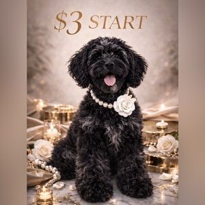 LIVE SHOW FLIER $3 START